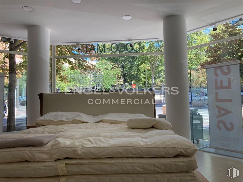 Retail for sale at Calle Lagasca, 85, Salamanca, Madrid, 28001 with bed, property, furniture, building, comfort, wood, shade, textile, plant and interior design around