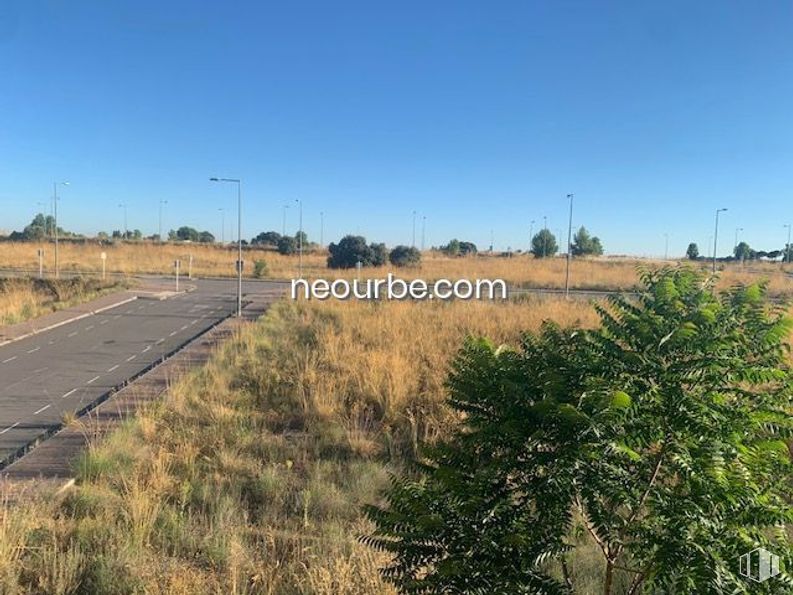 Land for sale at Calle Las Palmas de Gran Canaria, Ávila, 05004 with sky, plant, plant community, natural landscape, tree, street light, land lot, vegetation, grass and grassland around