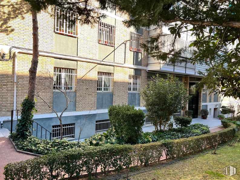 Oficina en venta en Zona Hispanoamérica, Chamartín, Madrid, 28016 con ventana, edificio, planta, propiedad, árbol, diseño urbano, chalet, zona residencial, casa y fachada alrededor