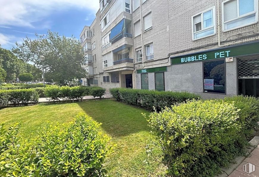 Local en alquiler y venta en Zona Fuencasa, San Fernando de Henares, Madrid, 28830 con ventana, planta, nube, cielo, edificio, diseño urbano, lote de terreno, hierba, árbol y zona residencial alrededor