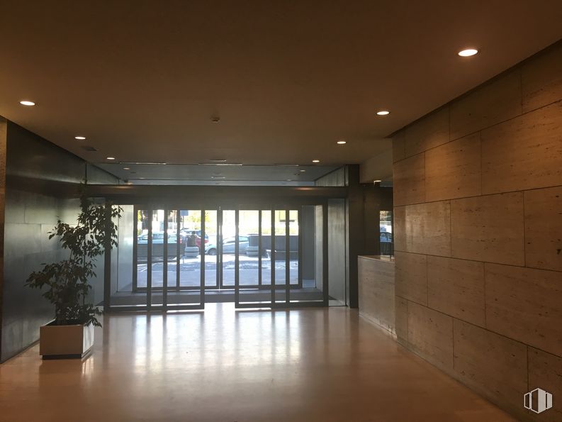 Oficina en alquiler en Edificio Europa II, Calle Musgo, 2, Moncloa - Aravaca, Madrid, 28023 con planta de interior, planta, accesorio, sombra, entrada, coche, suelo, vehículo, planta de casa, piso y bienes raíces alrededor