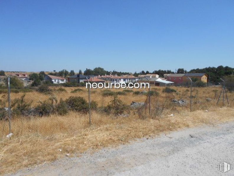 Suelo en venta en La Cañada, Herradón de Pinares, Ávila, 05294 con animal, cielo, edificio, planta, paisaje natural, árbol, casa, llanura, pastizal y paisaje alrededor