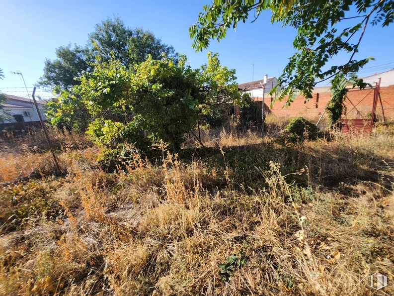 Suelo en venta en Calle Espía, Villarejo de Salvanés, Madrid, 28590 con planta, cielo, ventana, paisaje natural, lote de terreno, árbol, inmobiliario, arbusto, paisaje y ramita alrededor