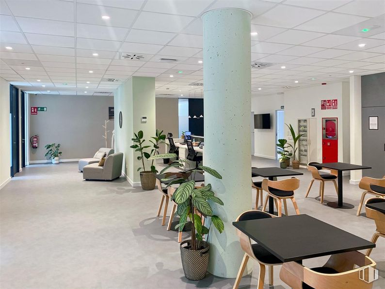 Oficina en alquiler en Edificio Square Garden, Regus Rivas Square Garden, Calle Marie Curie, 9, Rivas-Vaciamadrid, Madrid, 28529 con mesa, planta de interior, silla, planta, suelo, accesorio, edificio, suelos, maceta y ciudad alrededor