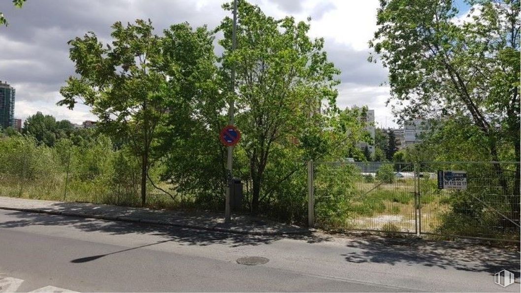 Land for sale at Calle Joaquín Lorenzo, 45, Fuencarral - El Pardo, Madrid, 28035 with building, cloud, plant, sky, tree, land lot, road surface, asphalt, shade and landscape around