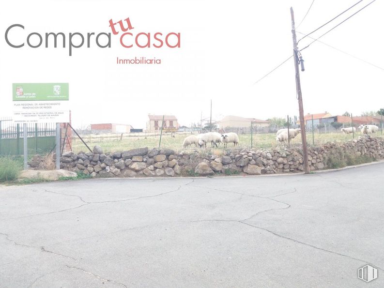 Land for sale at Calle Sol, Zarzuela del Monte, Segovia, 40152 with plant, road surface, asphalt, land lot, tree, urban design, real estate, gas, landscape and font around