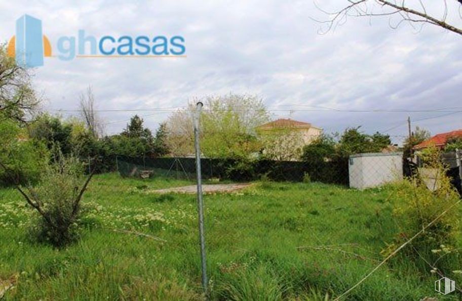 Land for sale at Calle Castillo Gormaz, Torrejón del Rey, Guadalajara, 19174 with cloud, plant, sky, natural landscape, land lot, tree, grassland, grass, rural area and landscape around