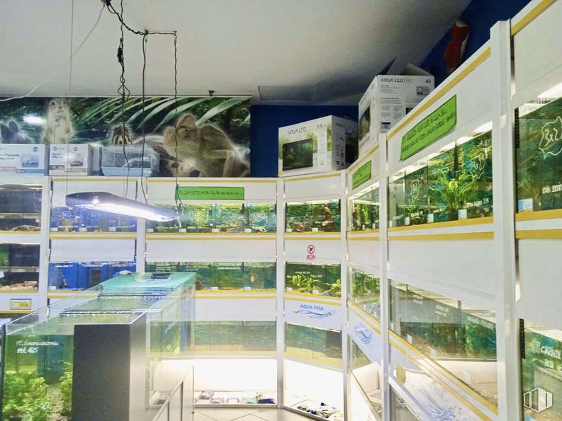 Retail for sale at Avenida Poblados, La Latina, Madrid, 28044 with shelf, display case, shelving, glass, retail, transparency, aquarium decor, fish supply, freshwater aquarium and fish around