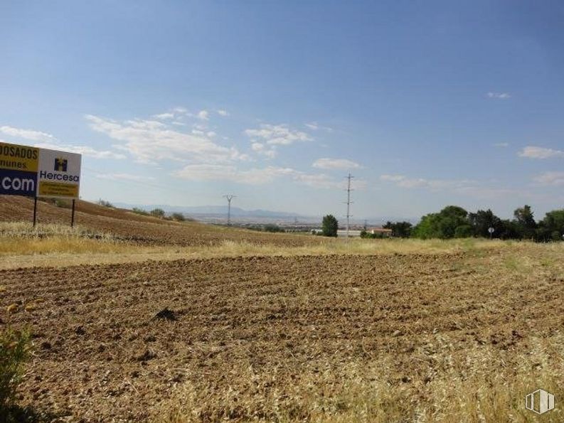 Suelo en venta en Carretera M-103, Algete, Madrid, 28110 con cielo, nube, planta, paisaje natural, árbol, llano, hierba, agricultura, pradera y horizonte alrededor