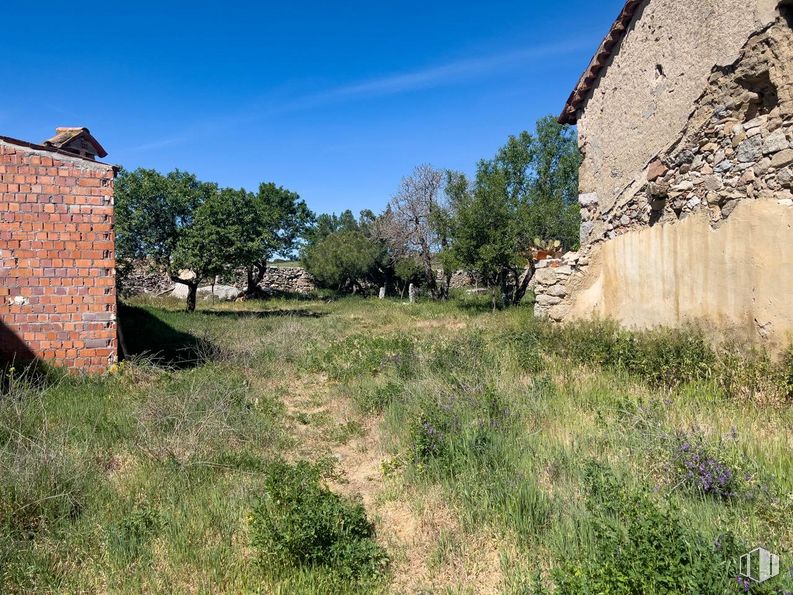 Land for sale at Zona Centro, Cardeñosa, Ávila, 05320 with building, sky, plant, plant community, natural landscape, land lot, tree, grass, grassland and facade around