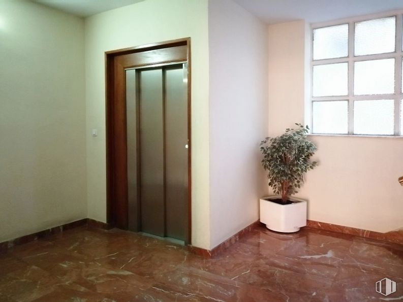 Oficina en alquiler en Zona Centro, Ávila, 05001 con planta de interior, ventana, maceta, planta, madera, planta de casa, accesorio, edificio, piso, diseño de interiores y suelo alrededor