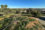 Land for sale at Carretera Navalpino, Toledo, 45004 with animal, sky, plant, natural landscape, tree, slope, groundcover, terrestrial plant, grassland and grass around