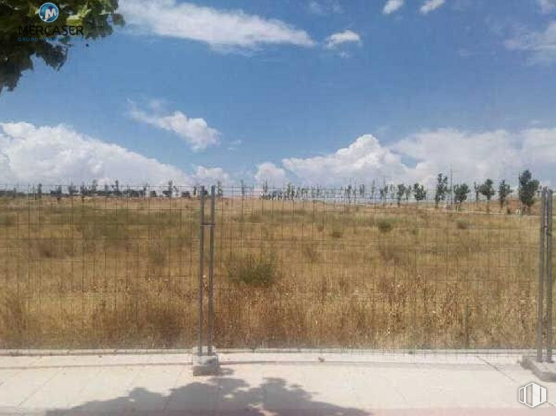 Land for sale at Avenida Brihuega, Cabanillas del Campo, Guadalajara, 19171 with cloud, sky, plant, plant community, fence, natural landscape, tree, land lot, grass and cumulus around