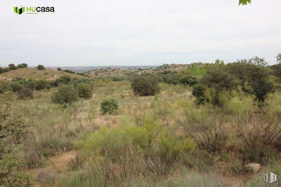 Land for sale at Zona Urbanización Montesión, Toledo, 45008 with hat, plant, sky, plant community, cloud, natural environment, natural landscape, land lot, grassland and landscape around