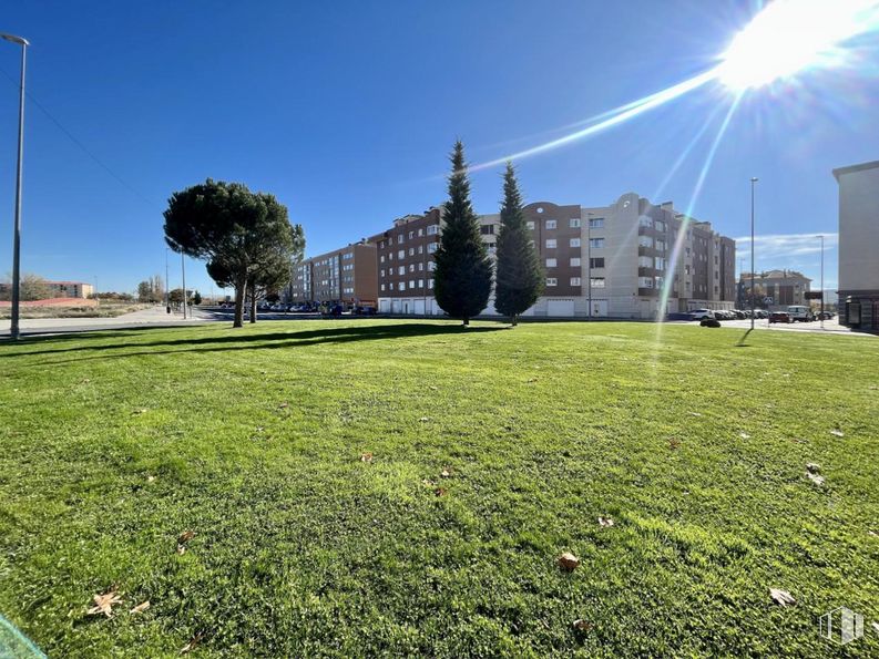 Local en venta en Calle Gardenia, Ávila, 05003 con edificio, cielo, planta, propiedad, verde, entorno natural, paisaje natural, lote de terreno, hierba y diseño urbano alrededor