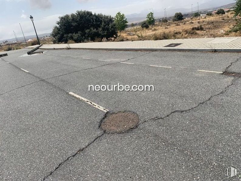 Land for sale at Calle Albacete, Ávila, 05004 with animal, sky, road surface, cloud, asphalt, plant, tar, tree, wood and sidewalk around