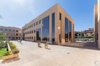 Office for rent at Edificio París, Calle Rozabella, 6, Las Rozas de Madrid, Madrid, 28230 with building, flowerpot, plant, sky, daytime, urban design, window, tree, facade and city around