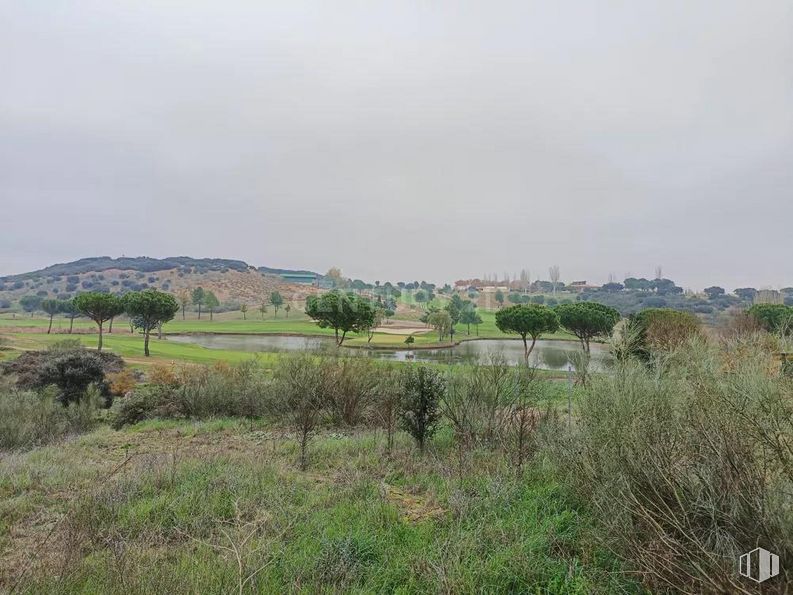 Land for sale at Zona campo de golf, Cabanillas del Campo, Guadalajara, 19171 with sky, plant, cloud, natural landscape, tree, plain, grass, grassland, horizon and landscape around