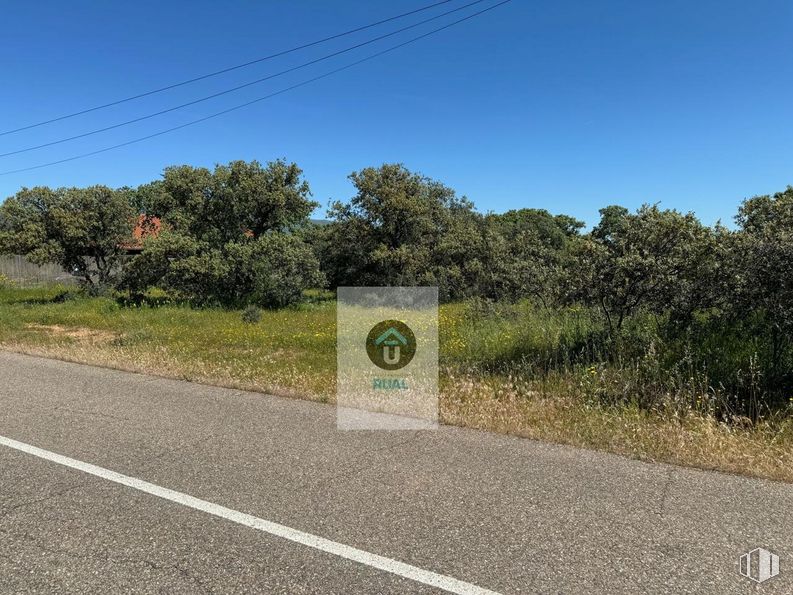 Land for sale at Calle Acacias, San Román de los Montes, Toledo, 45646 with plant, sky, plant community, ecoregion, natural landscape, road surface, tree, land lot, asphalt and overhead power line around