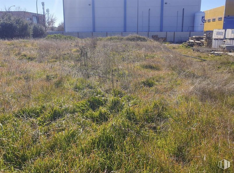 Suelo en alquiler en Zona industrial, Talamanca de Jarama, Madrid, 28160 con planta, comunidad vegetal, cielo, paisaje natural, vegetación, lote de terreno, hierba, pradera, cubierta vegetal y edificio alrededor