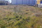 Land for rent at Zona industrial, Talamanca de Jarama, Madrid, 28160 with plant, plant community, sky, natural landscape, vegetation, land lot, grass, grassland, groundcover and building around