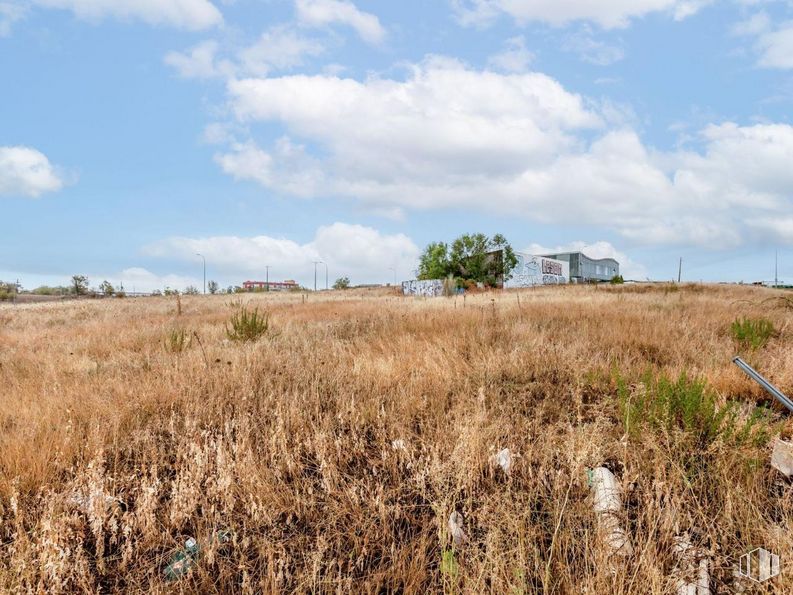 Land for sale at Calle Enero, 22, San Blas - Canillejas, Madrid, 28022 with cloud, sky, plant, natural landscape, land lot, grassland, grass, tree, cumulus and plain around