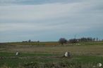 Land for sale at SAU-15, Pioz, Guadalajara, 19162 with sky, cloud, plant, natural landscape, tree, grassland, grass, landscape, horizon and prairie around