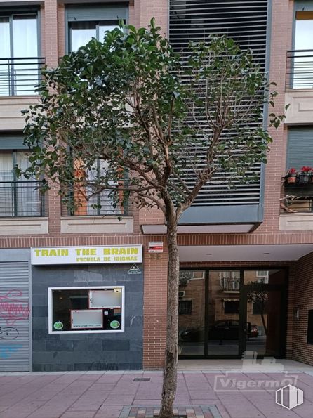 Local en alquiler y venta en Zona Centro, Torrejón de Ardoz, Madrid, 28850 con ventana, edificio, ladrillo, albañilería, diseño urbano, árbol, barrio, accesorio, zona residencial y superficie de la carretera alrededor