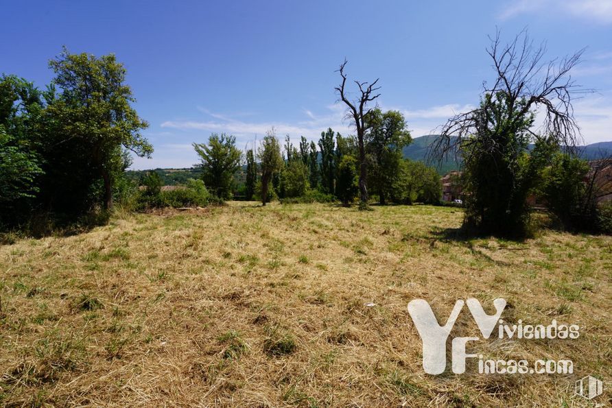 Land for sale at Calle Bajada Escorial, 1, Riaza, Segovia, 40500 with sky, cloud, plant, natural landscape, tree, grass, plain, shrub, landscape and grassland around