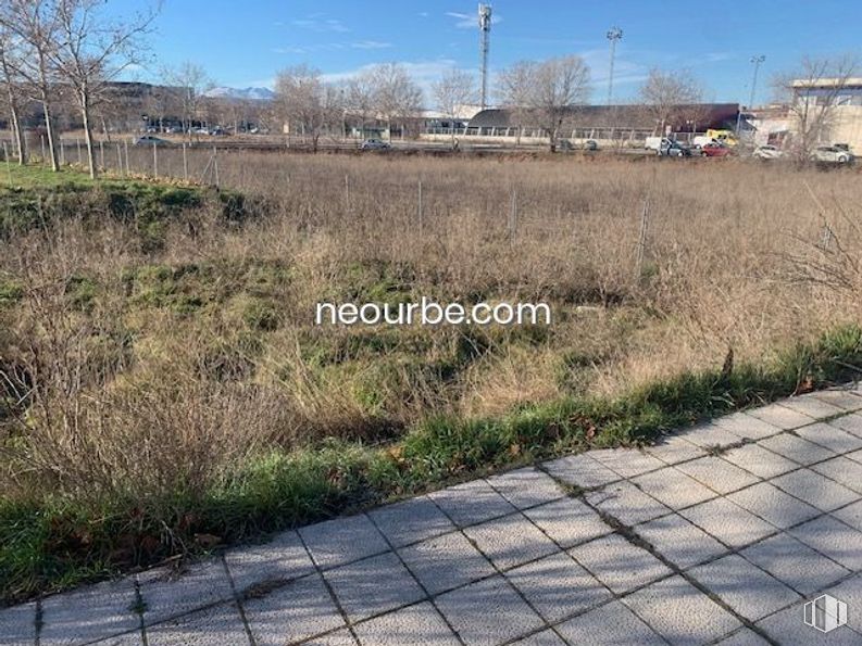 Land for sale at Urbanización Santo Tomé, Ávila, 05003 with plant, natural landscape, sky, land lot, tree, road surface, vegetation, grass, biome and asphalt around