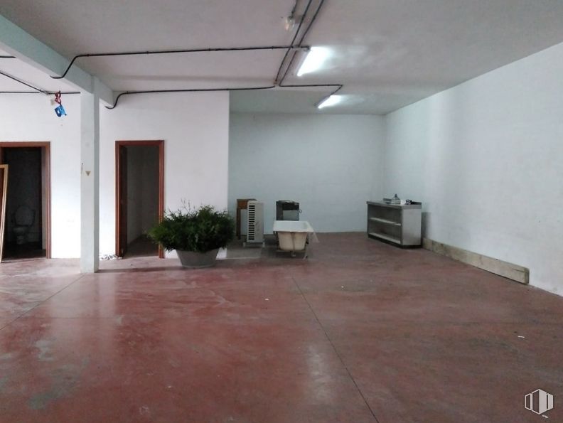 Retail for rent at Urbanización la Tejería, Chinchón, Madrid, 28370 with houseplant, wood, hall, architecture, interior design, flooring, floor, fixture, hardwood and ceiling around