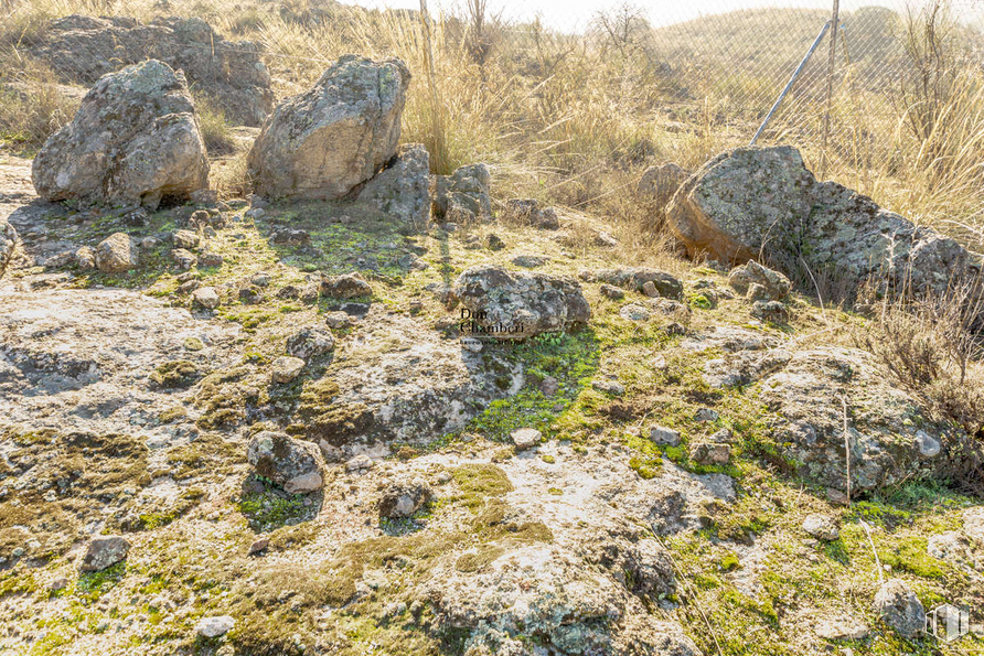 Land for sale at Urbanización La Pozuela, Toledo, 45004 with animal, bedrock, natural landscape, grass, groundcover, landscape, outcrop, grassland, plant and soil around