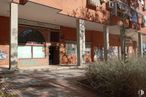 Retail for rent at Calle Rusia, San Blas - Canillejas, Madrid, 28022 with plant, window, building, road surface, urban design, residential area, facade, brick, city and tints and shades around