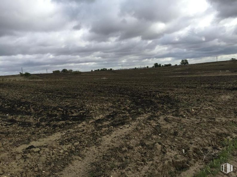 Land for sale at Zona Partida La Vereda de la Torrecilla, Getafe, Madrid, 28906 with brown, cloud, sky, plant, tree, natural landscape, agriculture, plain, landscape and grassland around