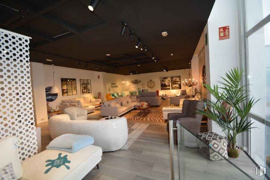 Retail for rent at Zona Európolis, Las Rozas de Madrid, Madrid, 28230 with couch, houseplant, furniture, plant, property, interior design, architecture, floor, flooring and table around