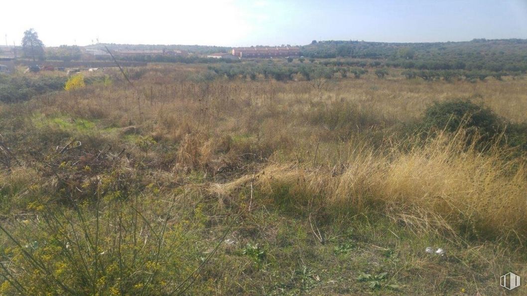 Land for sale at Calle Puerta del Hierro, Cabanillas del Campo, Guadalajara, 19171 with sky, plant, natural landscape, tree, grass, cloud, landscape, grassland, shrub and hill around