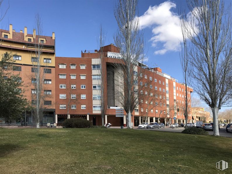 Oficina en venta en Zona Miguel de Unamuno, Alcalá de Henares, Madrid, 28806 con edificio, nube, planta, cielo, durante el día, propiedad, ventana, árbol, bloque de pisos y arquitectura alrededor