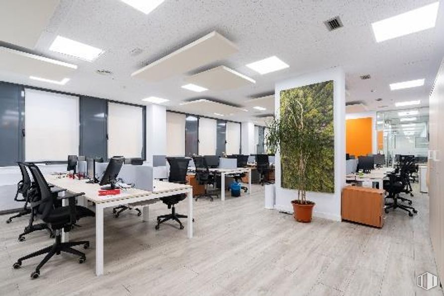 Oficina en alquiler en Edificio Infanta Mercedes 31, Calle Infanta Mercedes, 31, Tetuán, Madrid, 28020 con silla, planta de interior, escritorio, mueble, propiedad, mesa, planta, edificio, arquitectura y interiorismo alrededor