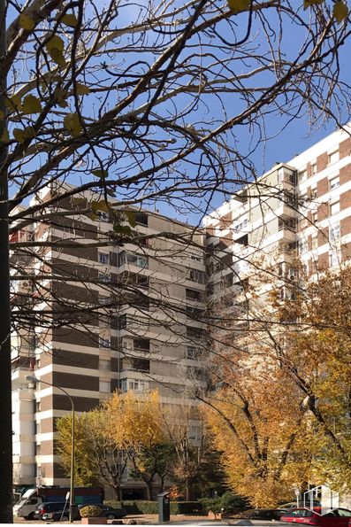 Retail for rent at Calle Villa de Marín, 1, Fuencarral - El Pardo, Madrid, 28029 with building, car, sky, property, tower block, branch, condominium, urban design, vegetation and tree around