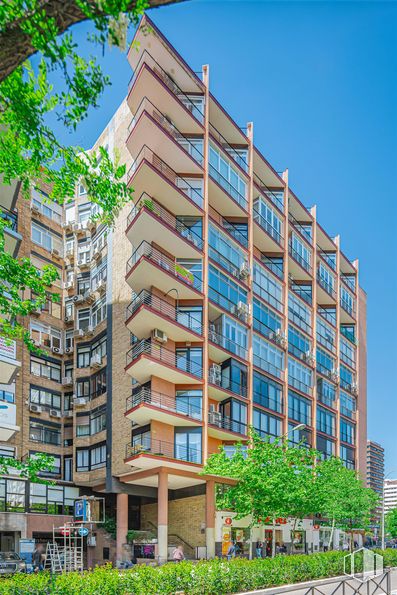 Oficina en alquiler en Paseo Castellana, 123, Tetuán, Madrid, 28046 con edificio, durante el día, propiedad, rascacielos, cielo, ventana, bloque de pisos, planta, condominio y arquitectura alrededor