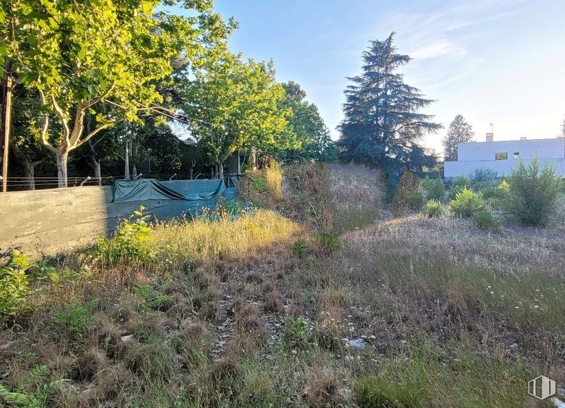 Suelo en venta en Zona La Florida, Moncloa - Aravaca, Madrid, 28023 con planta, cielo, comunidad vegetal, paisaje natural, lote de terreno, vegetación, árbol, hierba, nube y planta leñosa alrededor