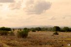 Land for sale at Calle Timanfaya, 4, Algete, Madrid, 28110 with cloud, sky, plant, natural landscape, tree, cumulus, horizon, grass, landscape and grassland around