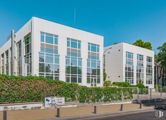 Oficina en alquiler en Calle San Severo, 30, Barajas, Madrid, 28042 con edificio, cielo, planta, ventana, árbol, diseño urbano, condominio, barrio, bloque de torres y espacio público alrededor