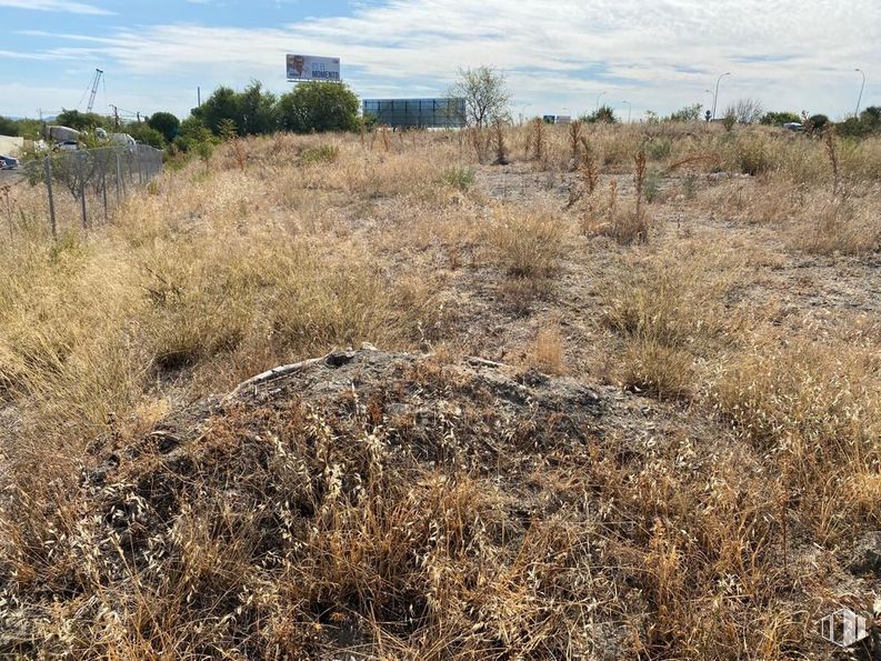 Land for sale at Calle Octubre, 238, San Blas - Canillejas, Madrid, 28022 with vegetation, ecoregion, plant community, shrubland, grassland, land lot, soil, grasses, steppe and prairie around