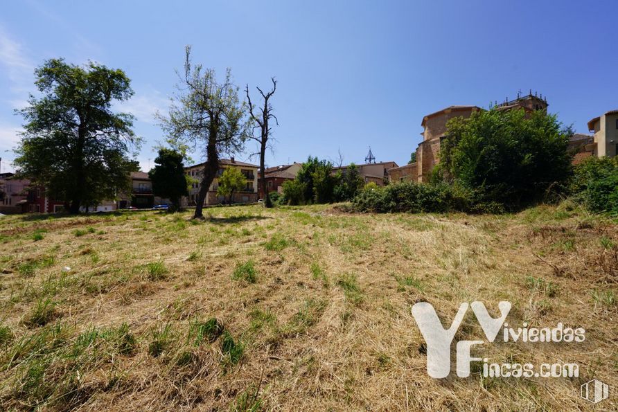 Land for sale at Calle Bajada Escorial, 1, Riaza, Segovia, 40500 with sky, plant, natural landscape, tree, land lot, cloud, grass, plain, grassland and landscape around