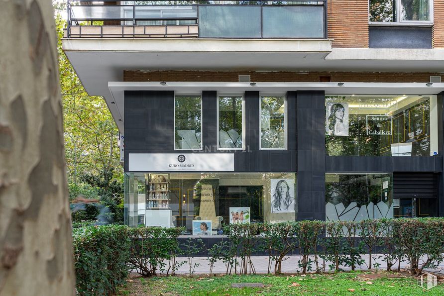 Local en alquiler en Zona Bernabéu-Hispanoamérica, Chamartín, Madrid, 28036 con planta, ventana, propiedad, edificio, arquitectura, sombra, diseño urbano, línea, fachada y condominio alrededor