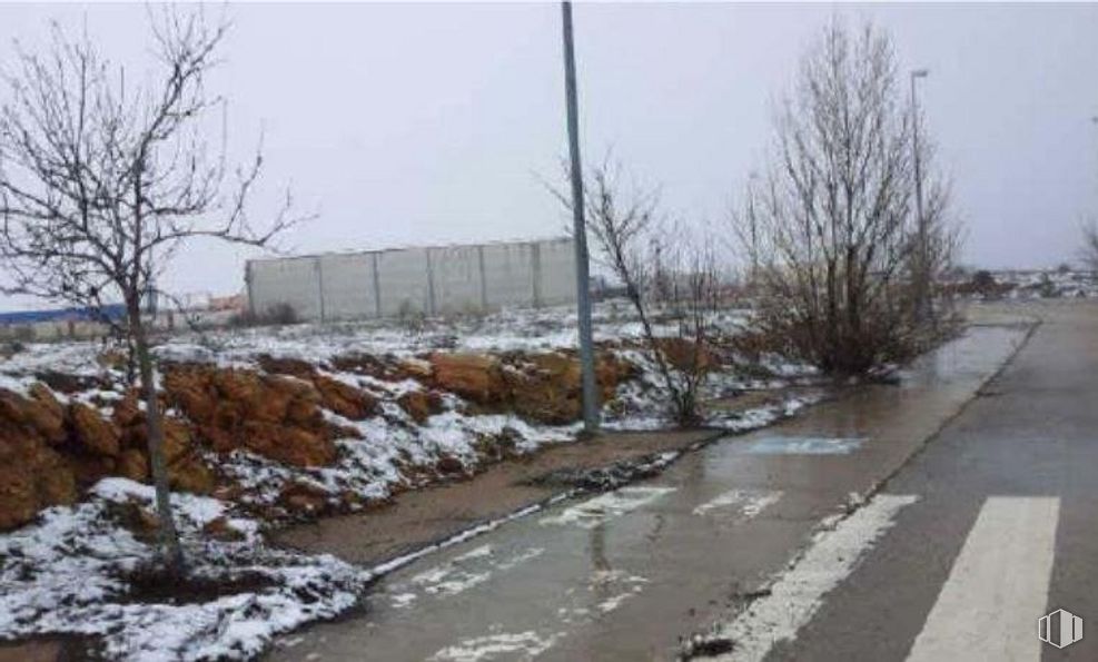 Land for sale at Zona industrial, Sigüenza, Guadalajara, 19267 with plant, sky, snow, branch, asphalt, tree, road surface, twig, neighbourhood and freezing around