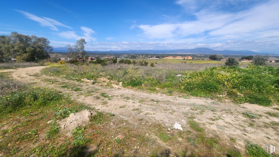 Land for sale at Zona Mirador de Fuente Romero, Hormigos, Toledo, 45919 with cloud, sky, plant, natural landscape, tree, highland, land lot, grass, grassland and plain around