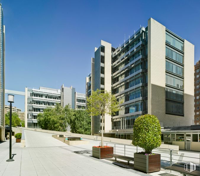 Oficina en alquiler en Calle Serrano Galvache, 56, Ciudad Lineal, Madrid, 28033 con planta, edificio, cielo, tiempo de día, propiedad, accesorio, árbol, diseño urbano, bloque de pisos, vecindario y barrio residencial alrededor