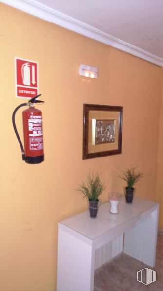 Retail for sale at Paseo Ermita, 55 - 57, Pedrezuela, Madrid, 28723 with picture frame, packaged goods, table, plant, flowerpot, houseplant, fire extinguisher, fixture, material property and wood around